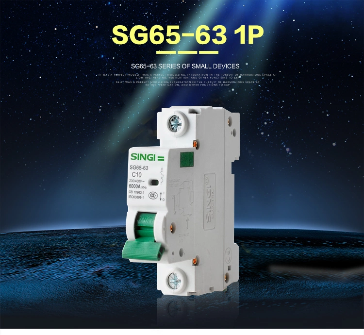 6A to 63A Singi MCB Low Voltage 6-63A Miniature Circuit Breaker Manufacture